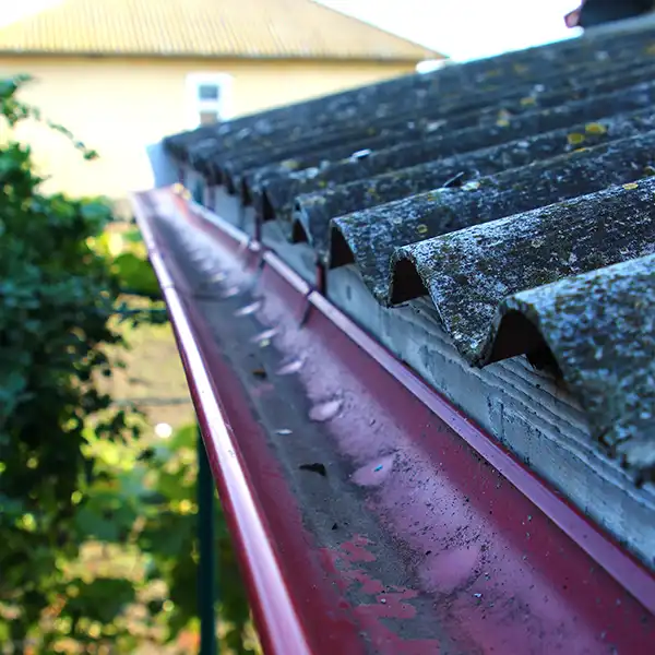 img-gutter-cleaning-london-1